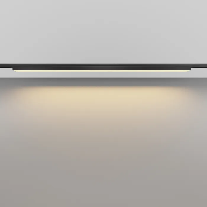 Трековый светильник Maytoni LEVITY TR192-1-21W2.7K-B от ImperiumLoft