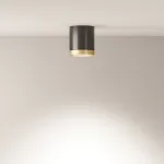 Потолочный светильник Maytoni Hoop C086CM-GX53-MRD-BG
