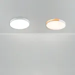 Потолочный светильник Freya Сприда / Sprida FR6129CL-L80W