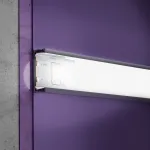 Лента светодиодная Maytoni Led strip 10137