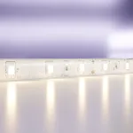 Лента светодиодная Maytoni Led strip 10139