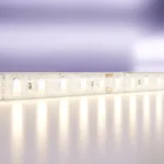 Лента светодиодная Maytoni Led strip 10151