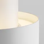 Накладной светильник Maytoni Planet C009CW-L12W Цвет арматуры белый Цвет плафонов белый