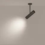 Светильник на штанге Maytoni Elti C020CL-01B Цвет арматуры черный Цвет плафонов черный