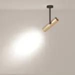 Спот Maytoni Elti C020CL-01GB Цвет арматуры черный Цвет плафонов золото