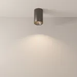 Накладной светильник Maytoni Zoom C029CL-01-S-B