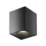 Накладной светильник Maytoni Sirius C030CL-01B Цвет арматуры черный Цвет плафонов черный