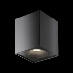 Накладной светильник Maytoni Sirius C030CL-01B Цвет арматуры черный Цвет плафонов черный