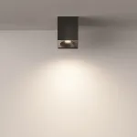 Накладной светильник Maytoni Sirius C030CL-01B Цвет арматуры черный Цвет плафонов черный