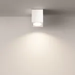Накладной светильник Maytoni Sirius C030CL-01W Цвет арматуры белый Цвет плафонов белый