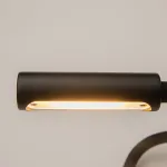 Бра Maytoni Stem C035WL-L3B3K Цвет арматуры черный Цвет плафонов черный