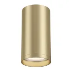 Накладной светильник Maytoni Focus S C052CL-01MG Цвет арматуры латунь Цвет плафонов латунь