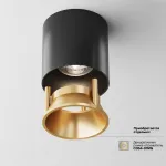 Накладной светильник Maytoni Cover C064CL-L12B4K Цвет арматуры черный Цвет плафонов черный