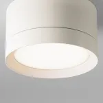 Накладной светильник Maytoni Hoop C086CL-GX53-SRD-W