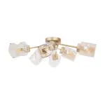 Потолочная люстра Freya Isabella FR5095CL-06G