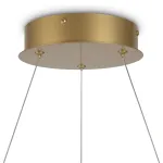 Подвесная люстра Maytoni MOD100PL-L47BSK1