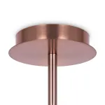 Потолочная люстра Maytoni MOD221PL-10G