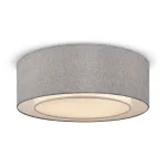 Потолочный светильник Maytoni MOD613CL-04GR