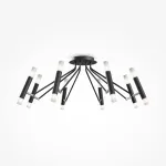 Потолочная люстра Maytoni MOD620CL-16B