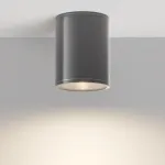 Накладной светильник Maytoni Bar O306CL-L7GF