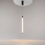 Подвесной светильник Maytoni Ray P022PL-L10B