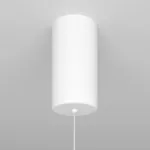Подвесной светильник Maytoni Ray P022PL-L10W