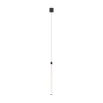 Подвесной светильник Maytoni Ray P022PL-L20B3K