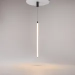 Подвесной светильник Maytoni Ray P022PL-L20B3K