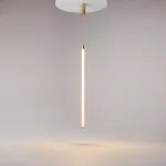 Подвесной светильник Maytoni Ray P022PL-L20G3K