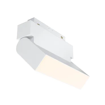 Светильник на штанге Maytoni Basis TR013-2-10W3K-W