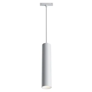 Подвесной светильник Maytoni Track lamps TR016-2-12W4K-W