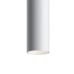 Подвесной светильник Maytoni Track lamps TR016-2-12W4K-W