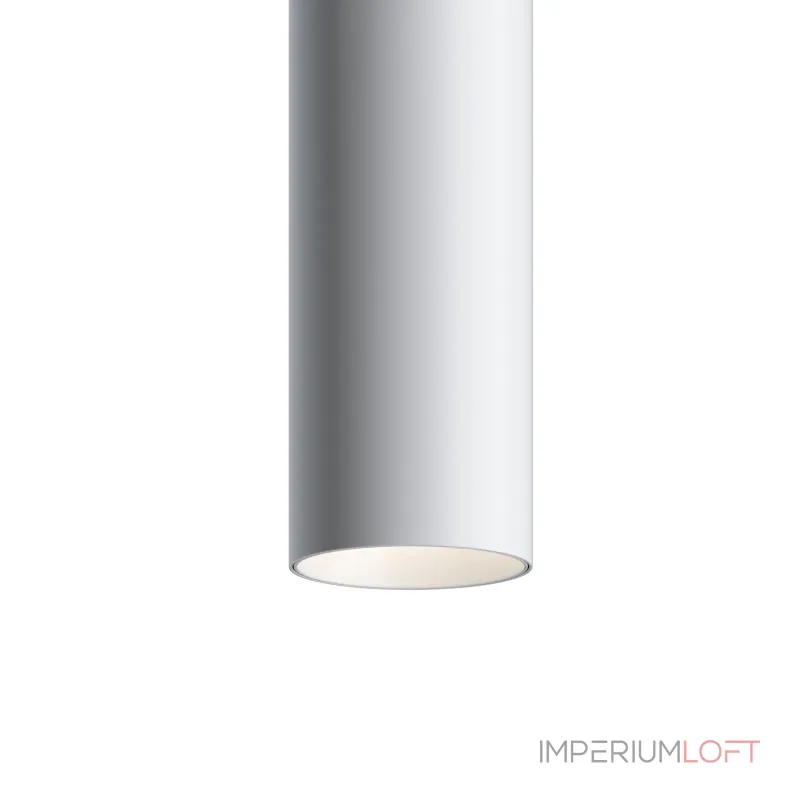Подвесной светильник Maytoni Track lamps TR016-2-12W4K-W