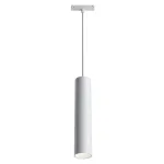 Подвесной светильник Maytoni Track lamps TR016-2-12W4K-W
