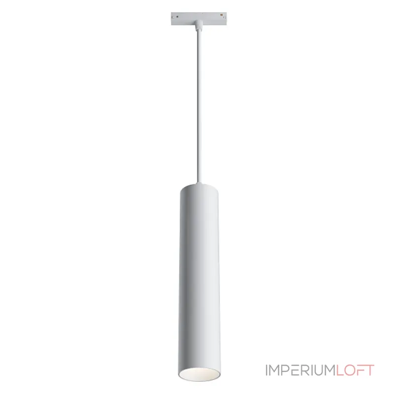 Подвесной светильник Maytoni Track lamps TR016-2-12W4K-W