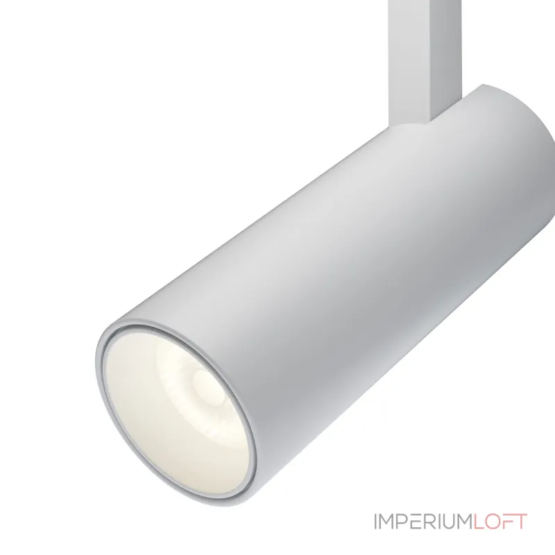 Светильник на штанге Maytoni Focus LED TR019-2-10W4K-W