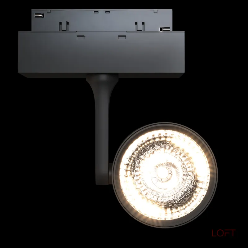 Светильник на штанге Maytoni Track lamps 3 TR024-2-10B3K Цвет арматуры черный Цвет плафонов черный