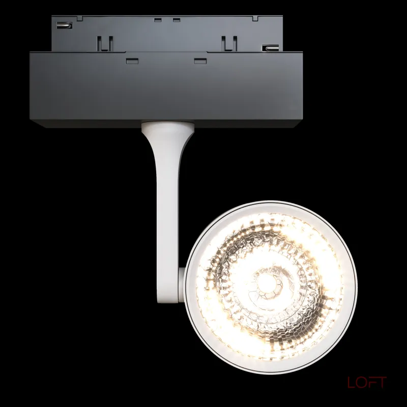 Светильник на штанге Maytoni Track lamps 3 TR024-2-10W3K Цвет арматуры белый Цвет плафонов белый Светильник на штанге Maytoni Track lamps 3 TR024-2-10W3K Цвет арматуры белый Цвет плафонов белый