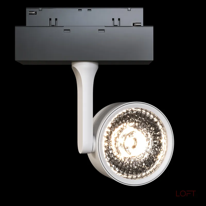 Светильник на штанге Maytoni Track lamps 3 TR024-2-10W3K Цвет арматуры белый Цвет плафонов белый Светильник на штанге Maytoni Track lamps 3 TR024-2-10W3K Цвет арматуры белый Цвет плафонов белый