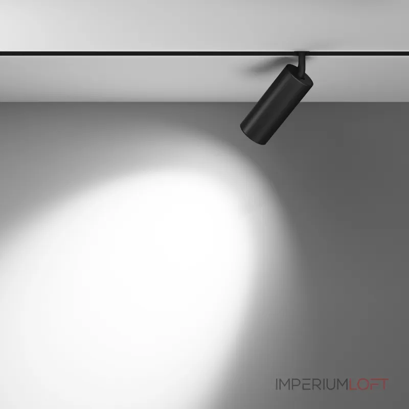 Светильник на штанге Maytoni Focus LED TR032-2-20W3K-M-B