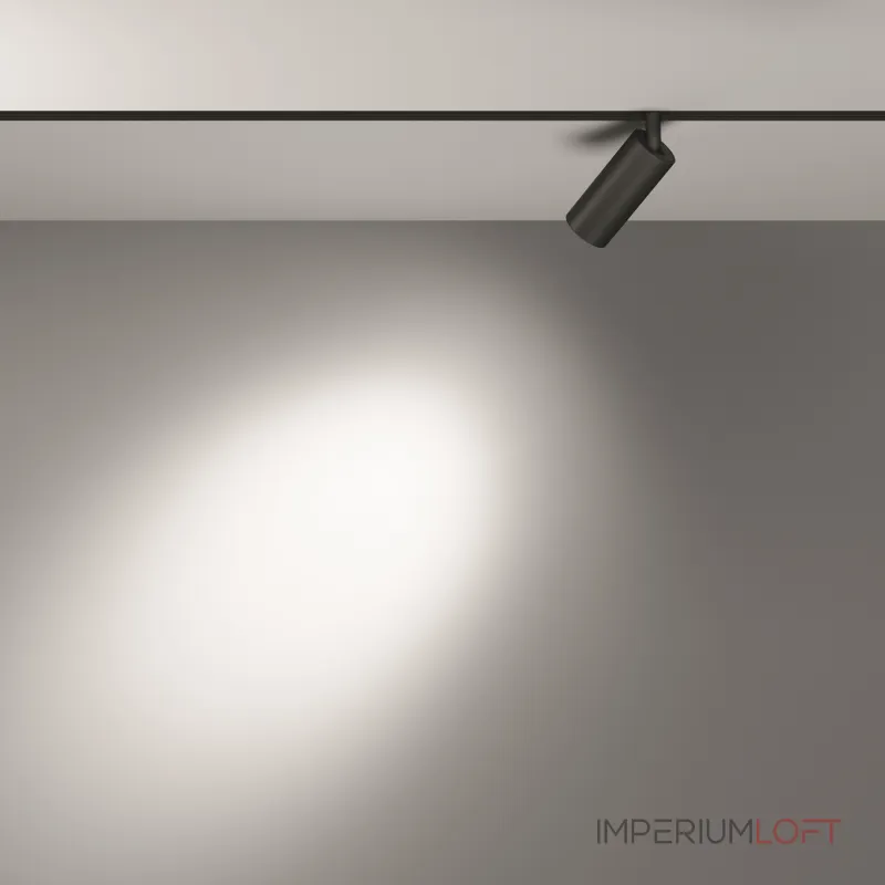 Светильник на штанге Maytoni Focus LED TR032-2-5W3K-S-B