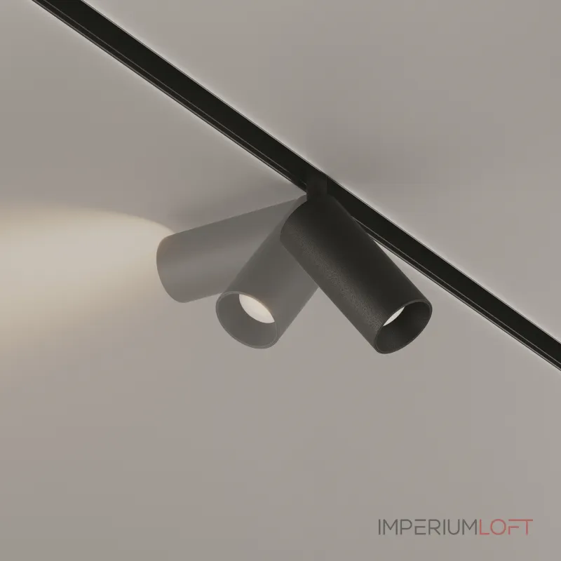 Светильник на штанге Maytoni Focus LED TR032-2-5W3K-S-B