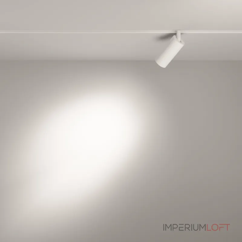 Трековый светильник Maytoni Focus LED TR032-2-5W4K-S-W