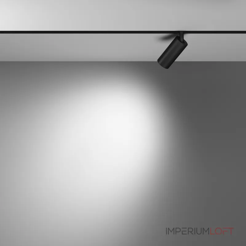 Светильник на штанге Maytoni Focus LED TR032-4-5W3K-W-DS-B