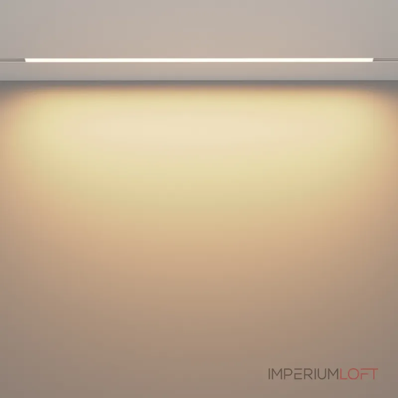 Трековый светильник Maytoni EXILITY TR030-2-30W3K-W