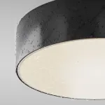 Потолочный светильник Maytoni Outdoor O431CL-L30B4K