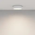 Потолочный светильник Maytoni Ceiling C032CL-24W4K-RD-W