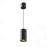 Подвесной светильник Maytoni Pendant P100PL-20W3K-B