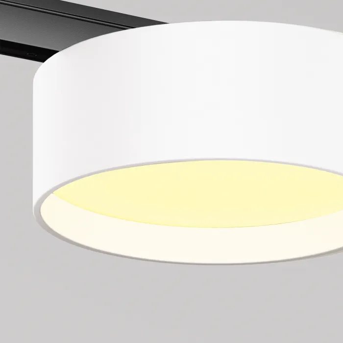 Трековый светильник Maytoni LEVITY TR189-1-12W2.7K-BW от ImperiumLoft