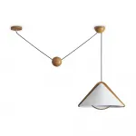 Потолочный светильник Freya Umbra FR5554CL-01T